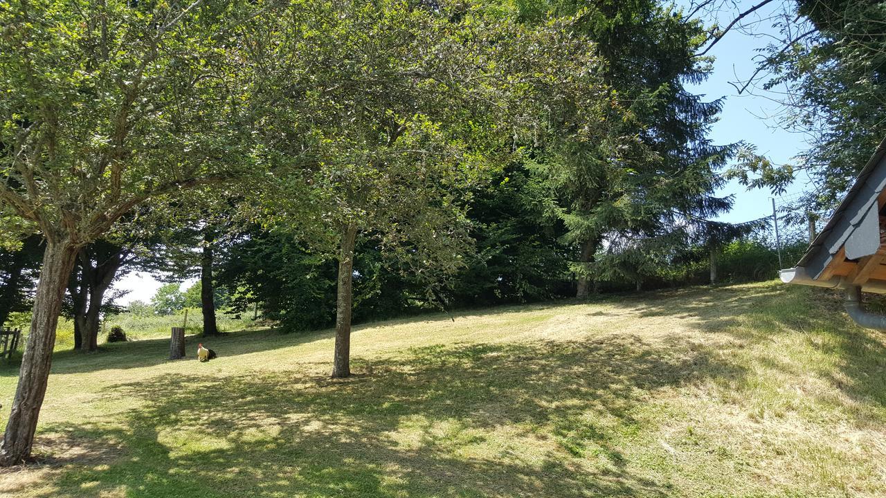 Gite "Le Refuge" Dans Un Domaine De 7Ha Au Calme Vimoutiers Buitenkant foto